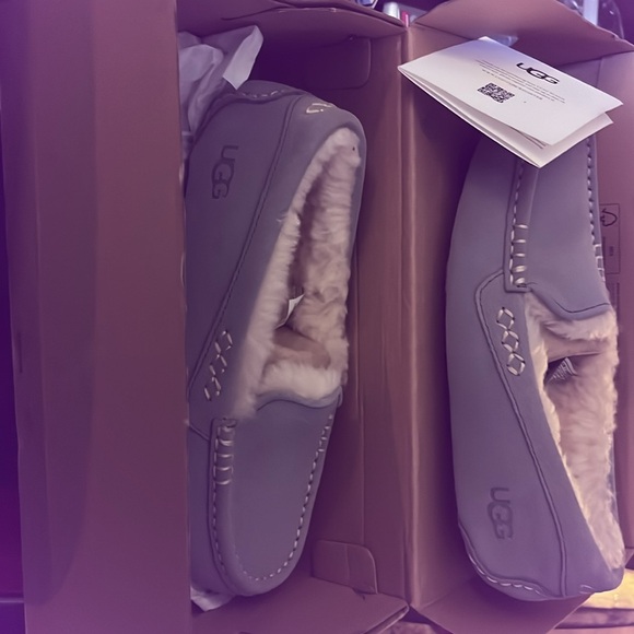 Woman’s Uggs Brand new still in box never been worn whatsoever - Picture 2 of 4